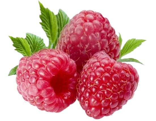 Raspberry flavour inspiration